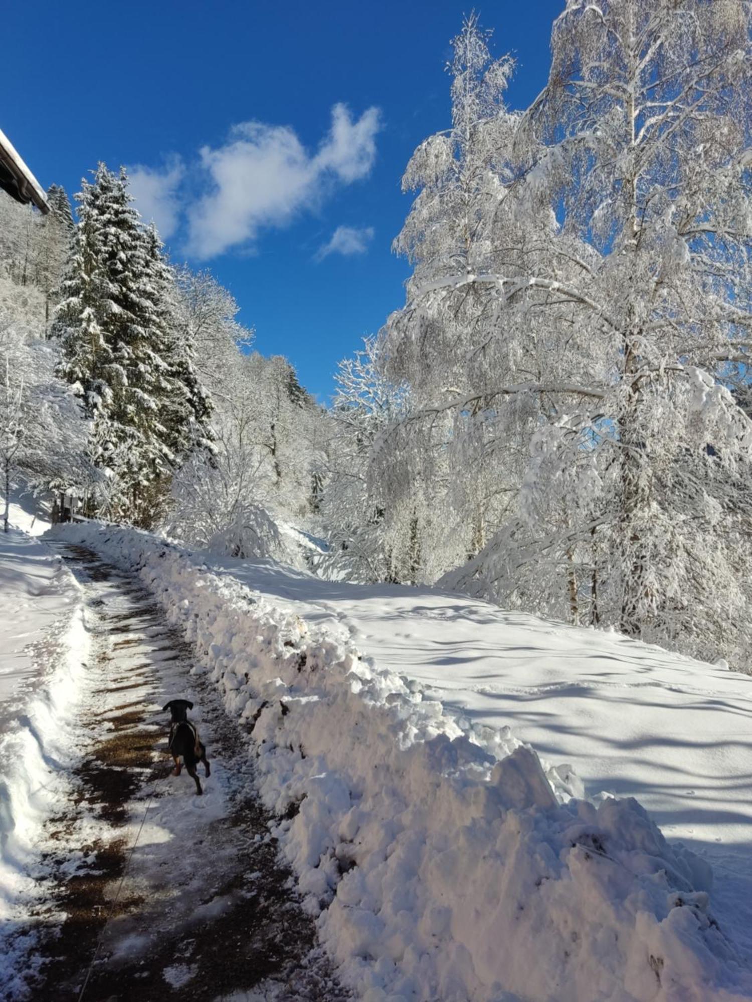 Kirchenwirt 3* Bad Kleinkirchheim